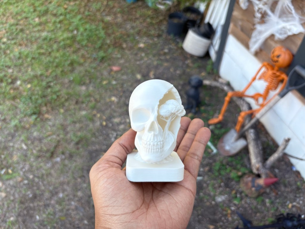 10 random pictures from the past 10&nbsp;days.